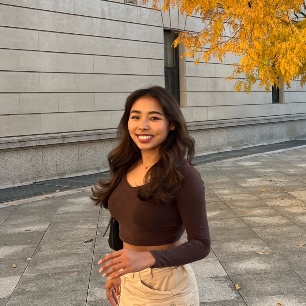 Brown Long Sleeve Crop Top